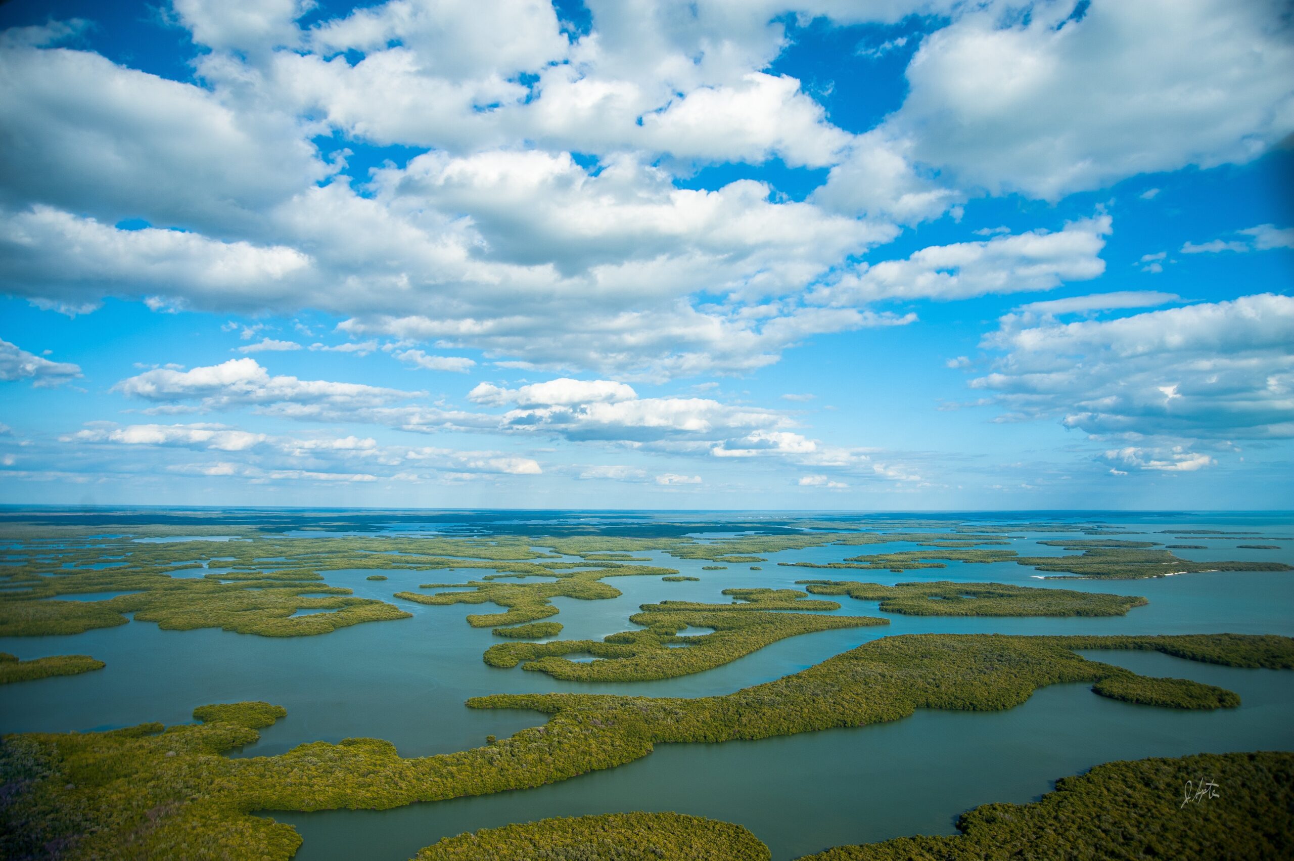 Aerial view of the Ten Thousand Islands