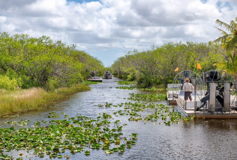 Airboat Ride at Everglades National Park