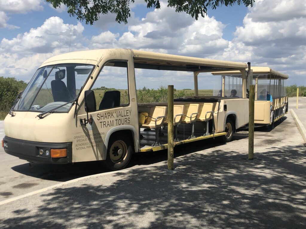 Shark Valley Tram Tours