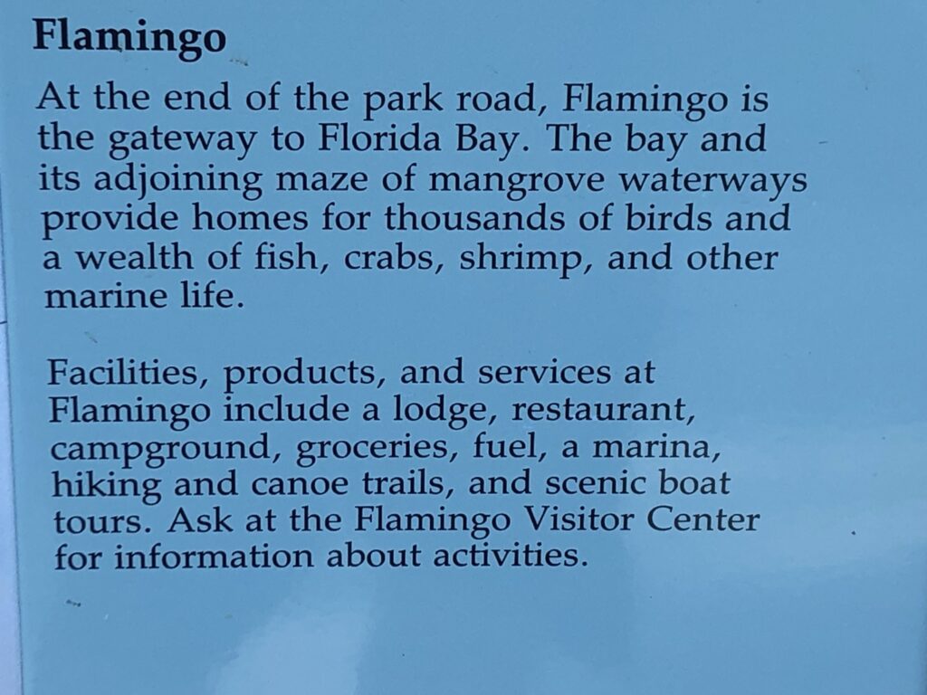 Flamingo Area