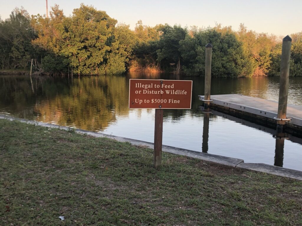 Flamingo Area