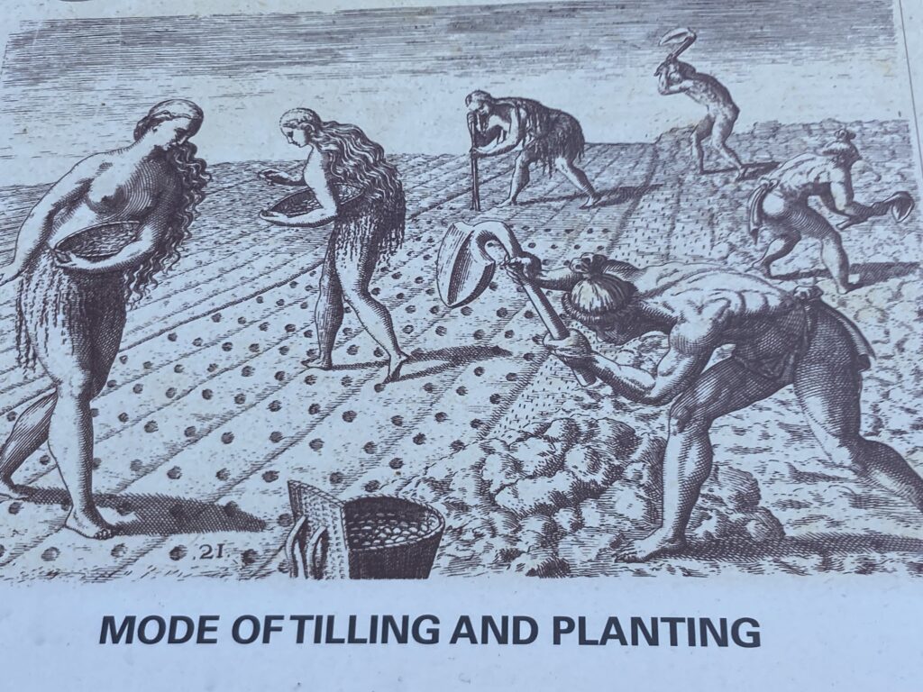 An illustration of tilling and planting