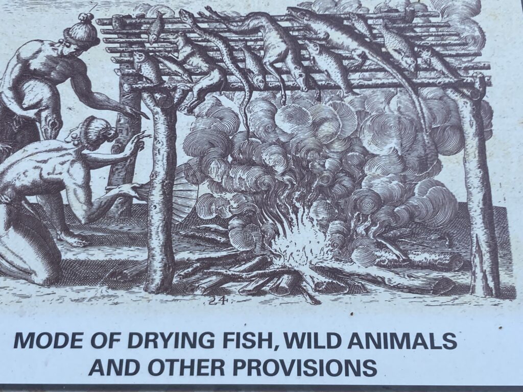 An image of drying fish and wild animals