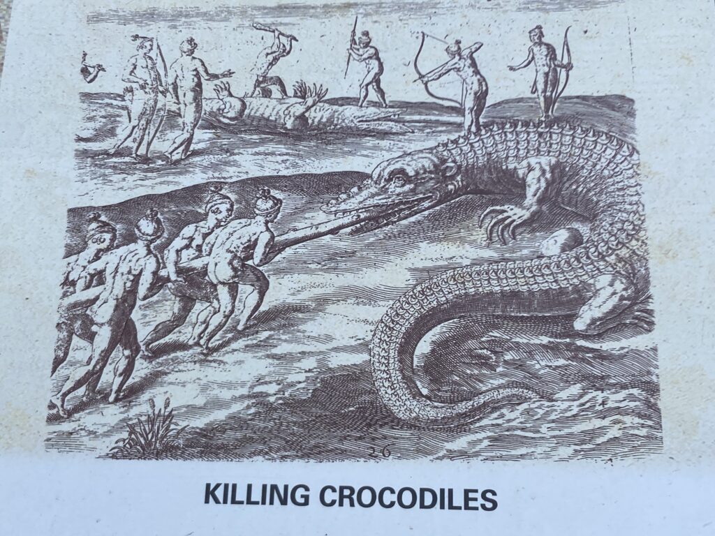 An image of people hunting crocodiles