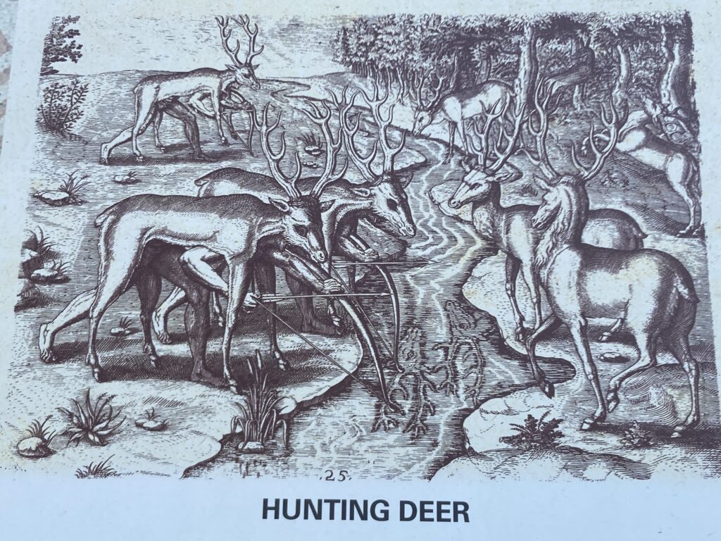 An image of strategy in hunting deer