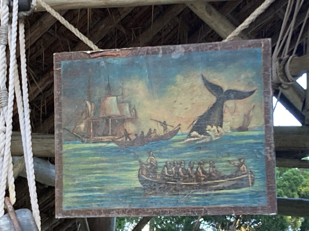 Chalupa Boathouse