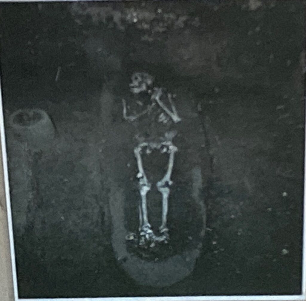 Timucua Burial Site