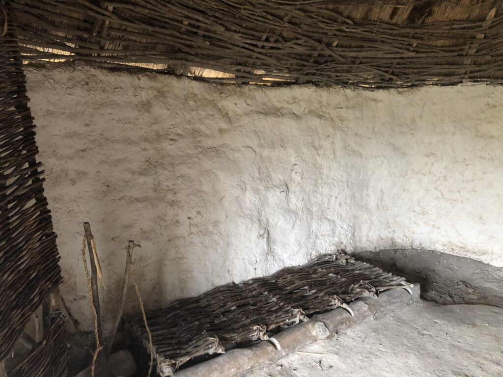 Is this a bed