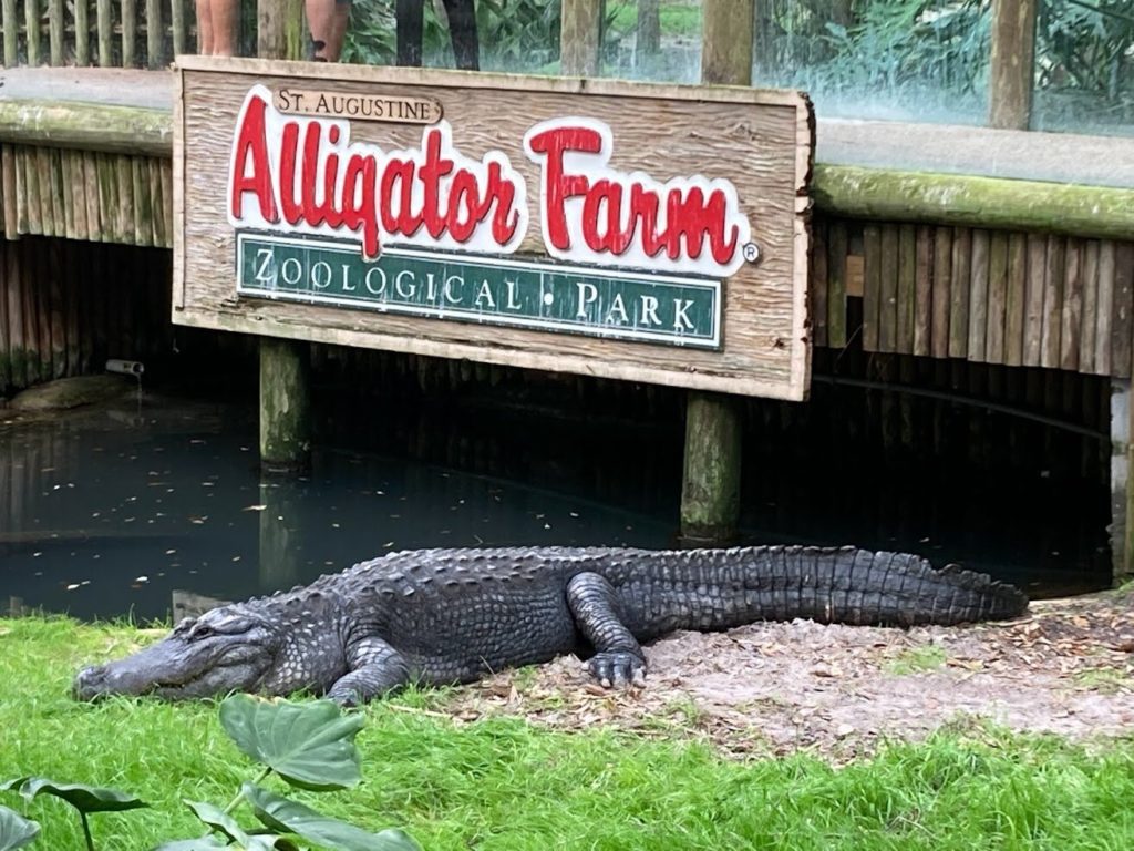 St Augustine Alligator Farm