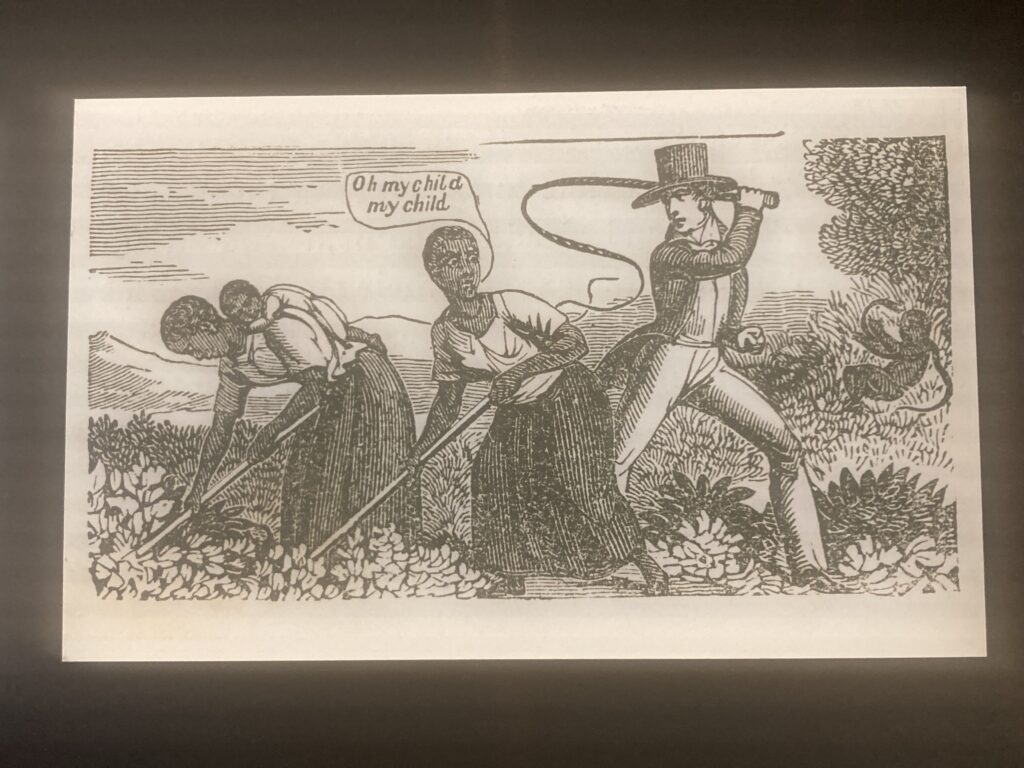 The Slavery & Freedom Exhibit