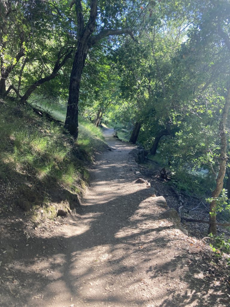 Trail way between Trees going to the Rock Formation