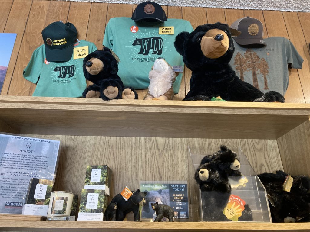 T-shirts and Black Bear Stuffed Toys on Display