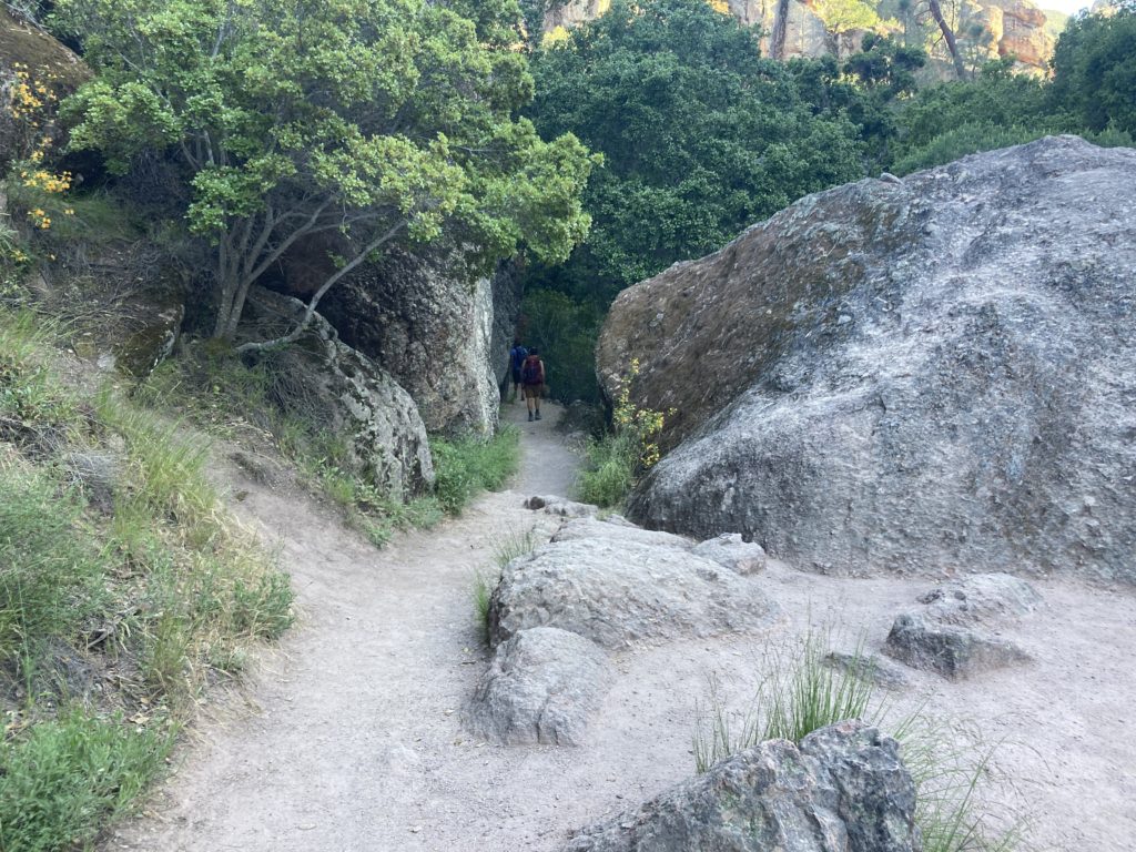 Trailways between the Rock Formation and Trees