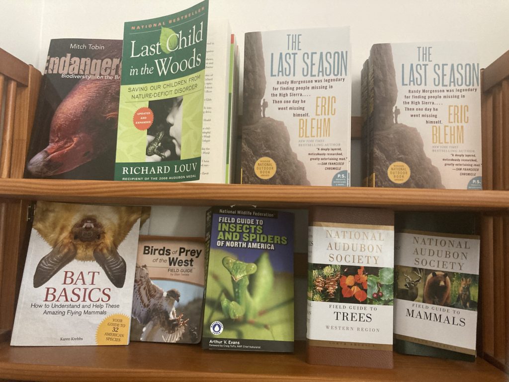 Different Kind of Books on Display