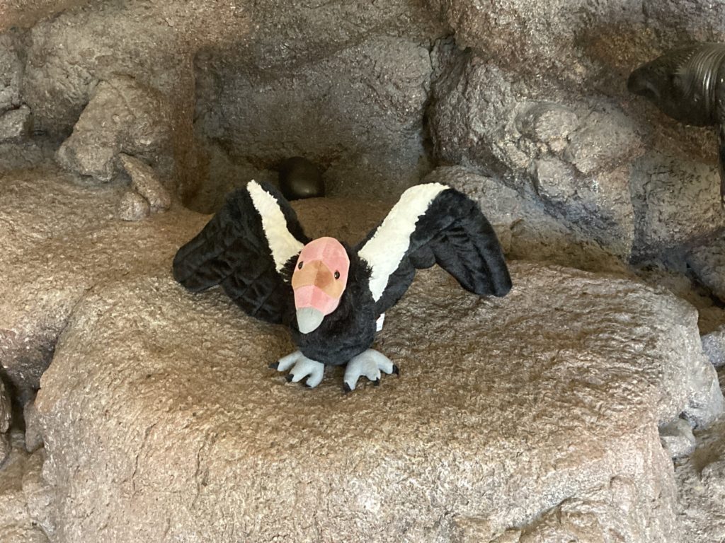 Black and White Bird Stuff toy above the Stone