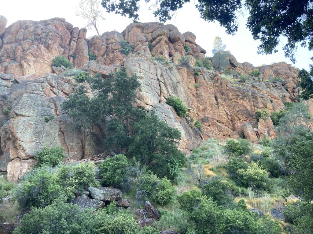Big Rock Formation and Trees