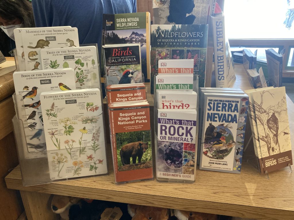 Post Cards and Brochures of Animals and Flowers Found in Sequoia & Kings Canyon National Park