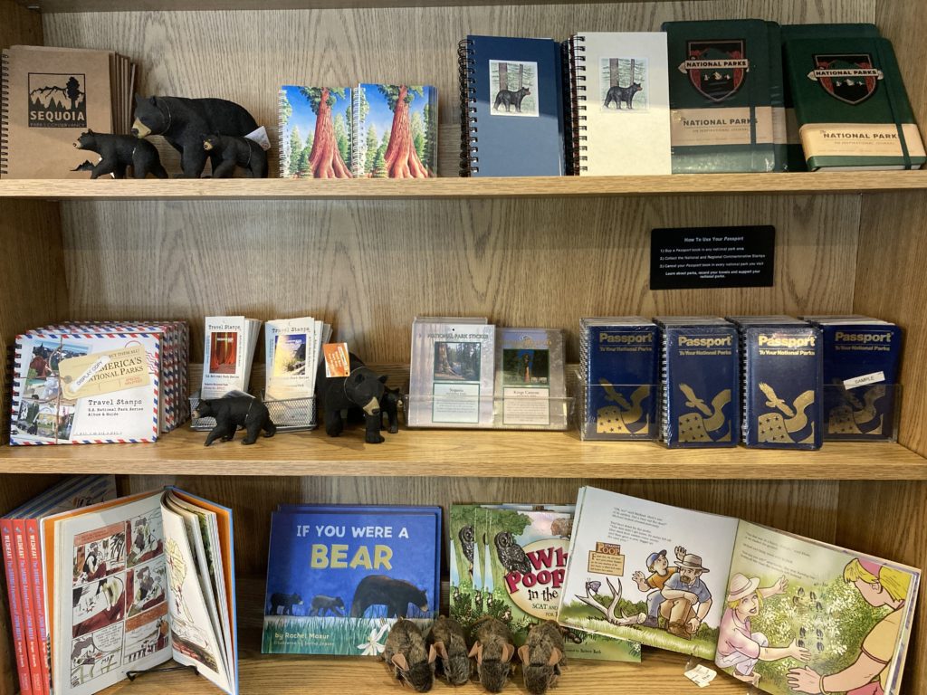 Children's Books and Notebooks on Display