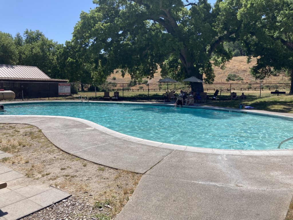 Big Swimming Pool with a Big Tree Beside
