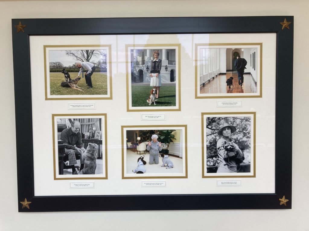 Collage Photos of Events in The White House