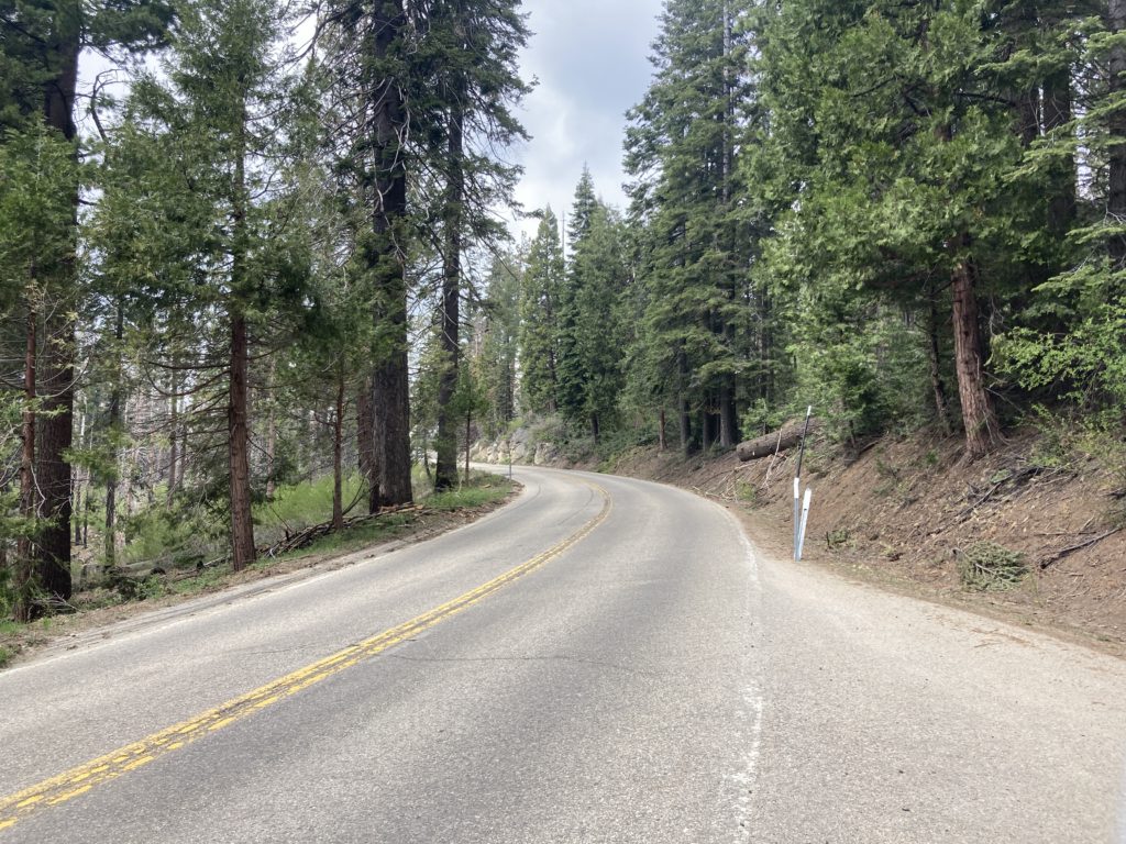 Grant Grove to Kings Canyon and Cedar Grove