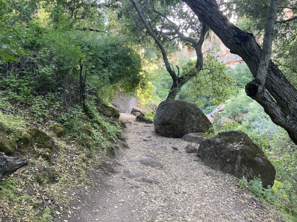Trail way between Trees going to the Rock Formation
