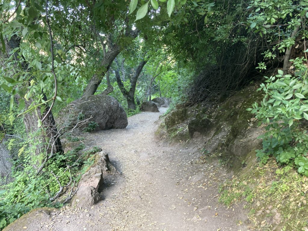Trail Way At the Edge of the Hill with Trees and Rock