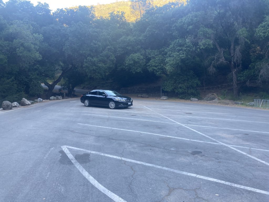 Black Car in the Parking Lot near Trees