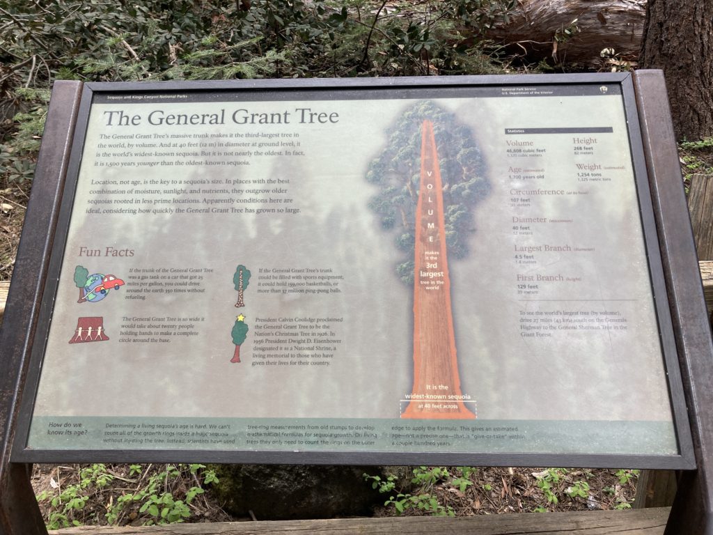 Framed Information about General Grant Tree