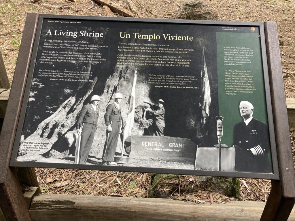 Framed Black and White Picture of Soldiers beside the General Grant Sequoia Tree