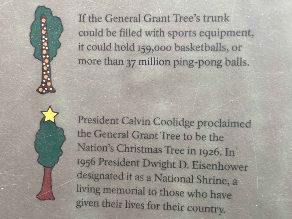 Information about the General Grant Trees