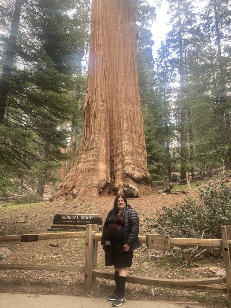 A Woman Standing Under the Giant Sequoia Tree