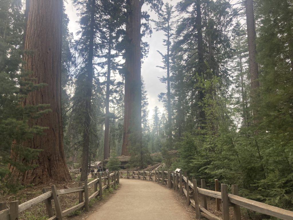 General Grant Trail