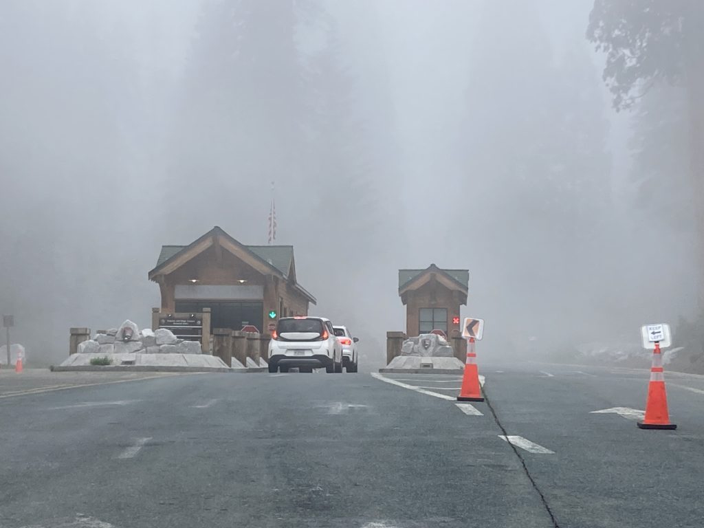 Big Stump Entrance on a foggy day