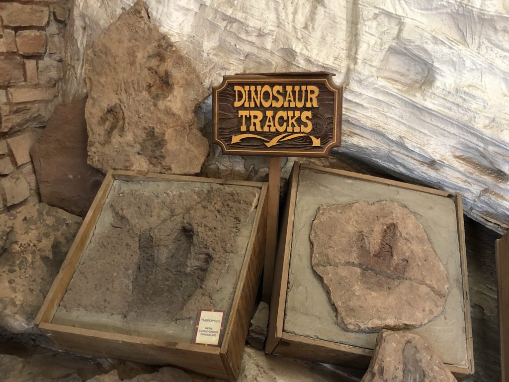 Dinosaur tracks