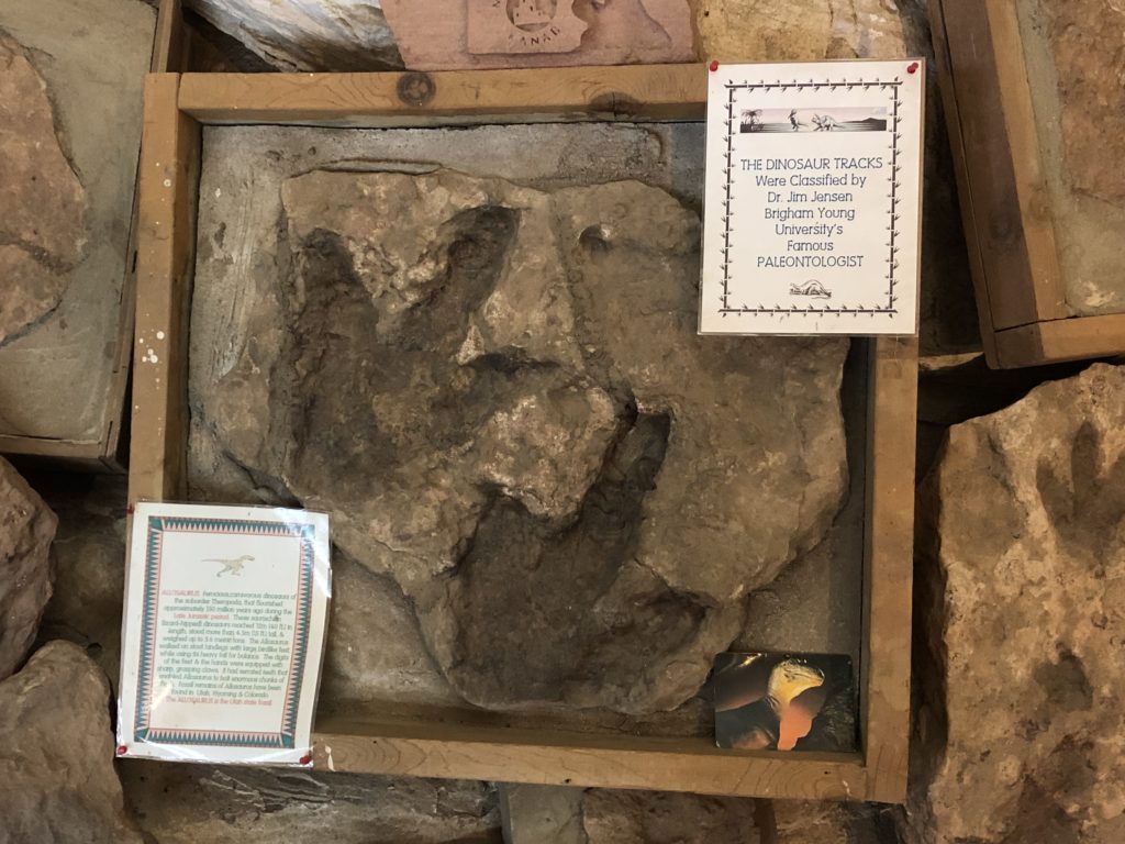 Dinosaur tracks