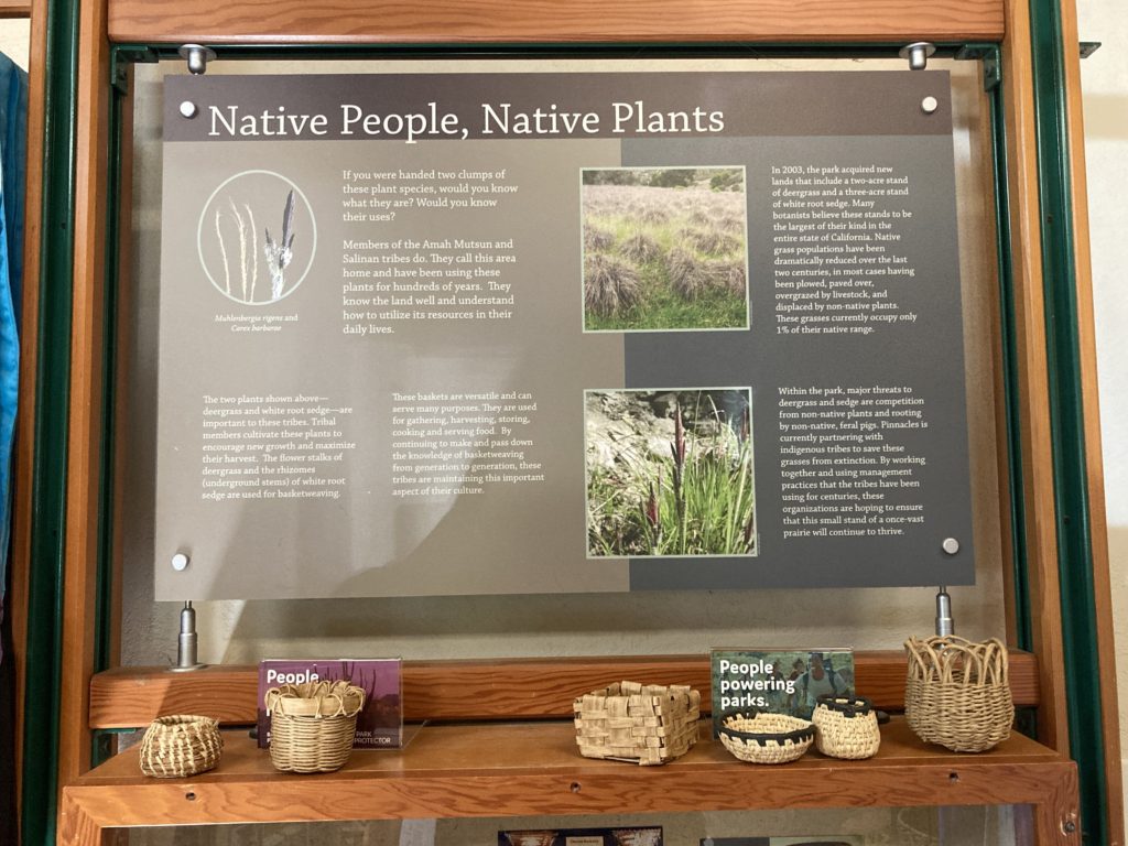 Native People, Native Plants Information Placard