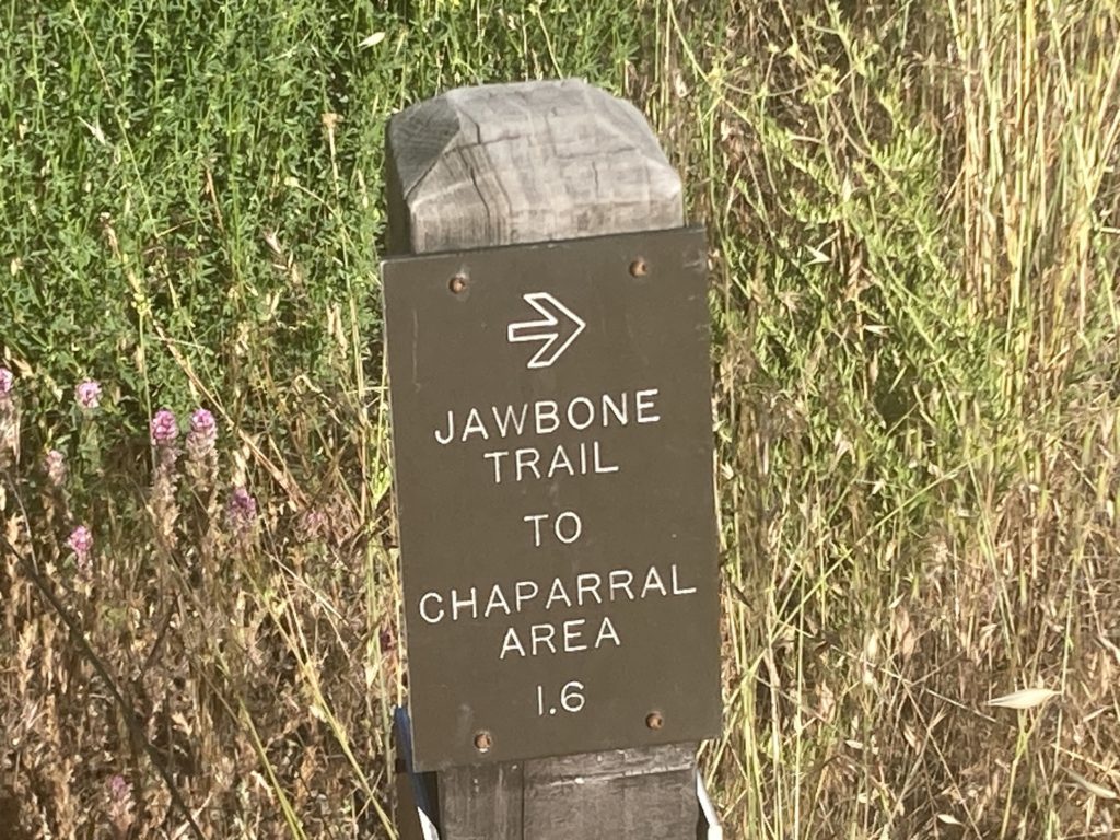 Brown Jawbone Trail to Chaparral Area Signboard