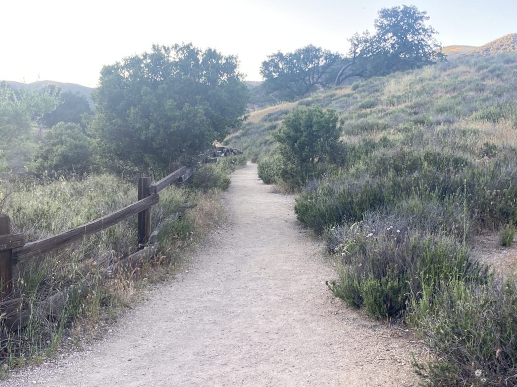Small Pathway near the Hill