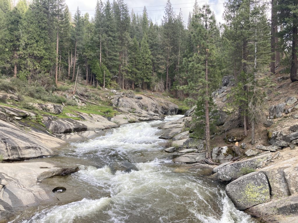 Hume Lake Sandy Cove