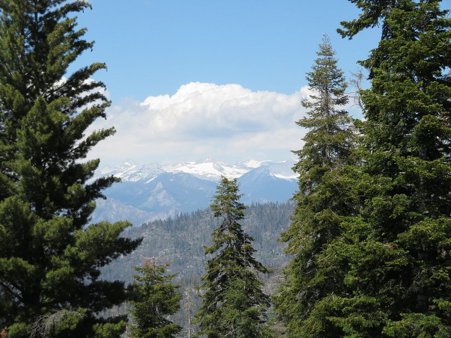Kings Canyon Overlook