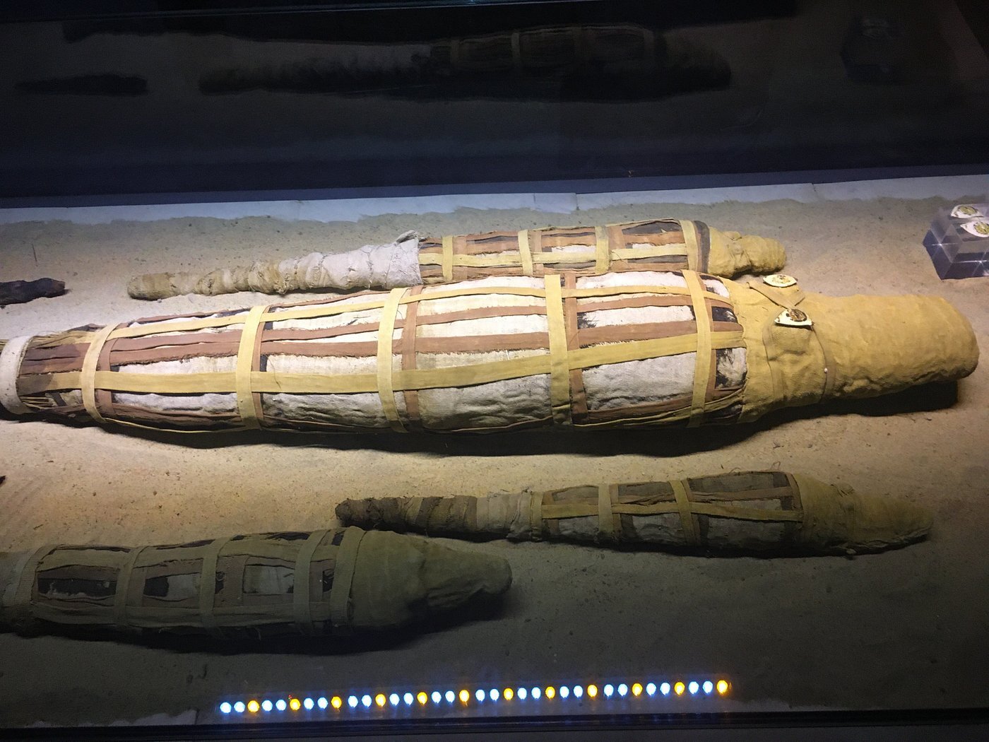 4 mummified crocodiles wrapped in white, tan, and brown bandages at the Kom Ombo Crocodile Museum