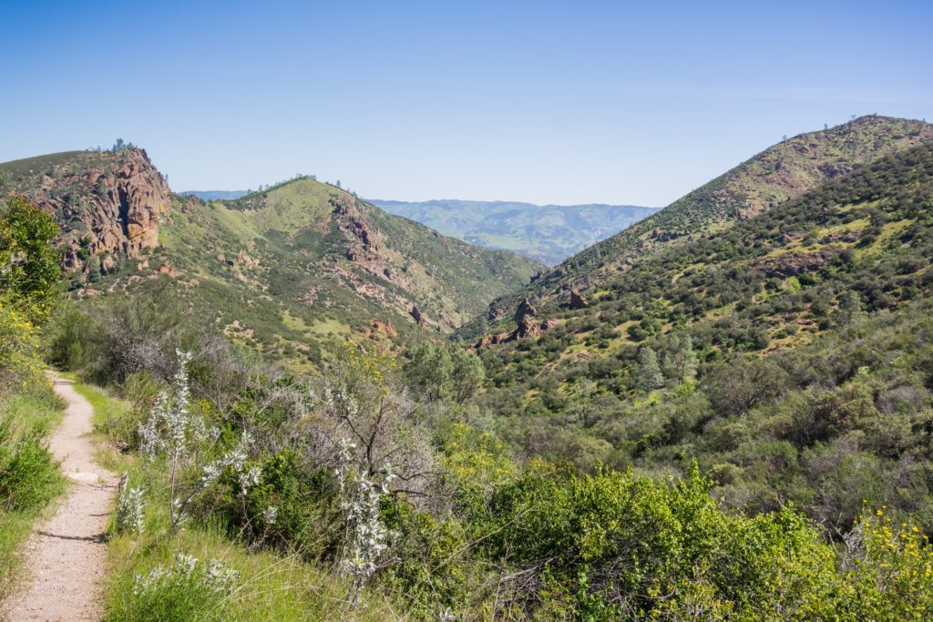 North Chalone Peak in the Hain Wilderness