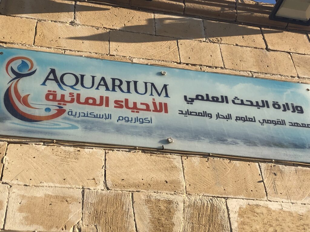 Egyptian Aquarium