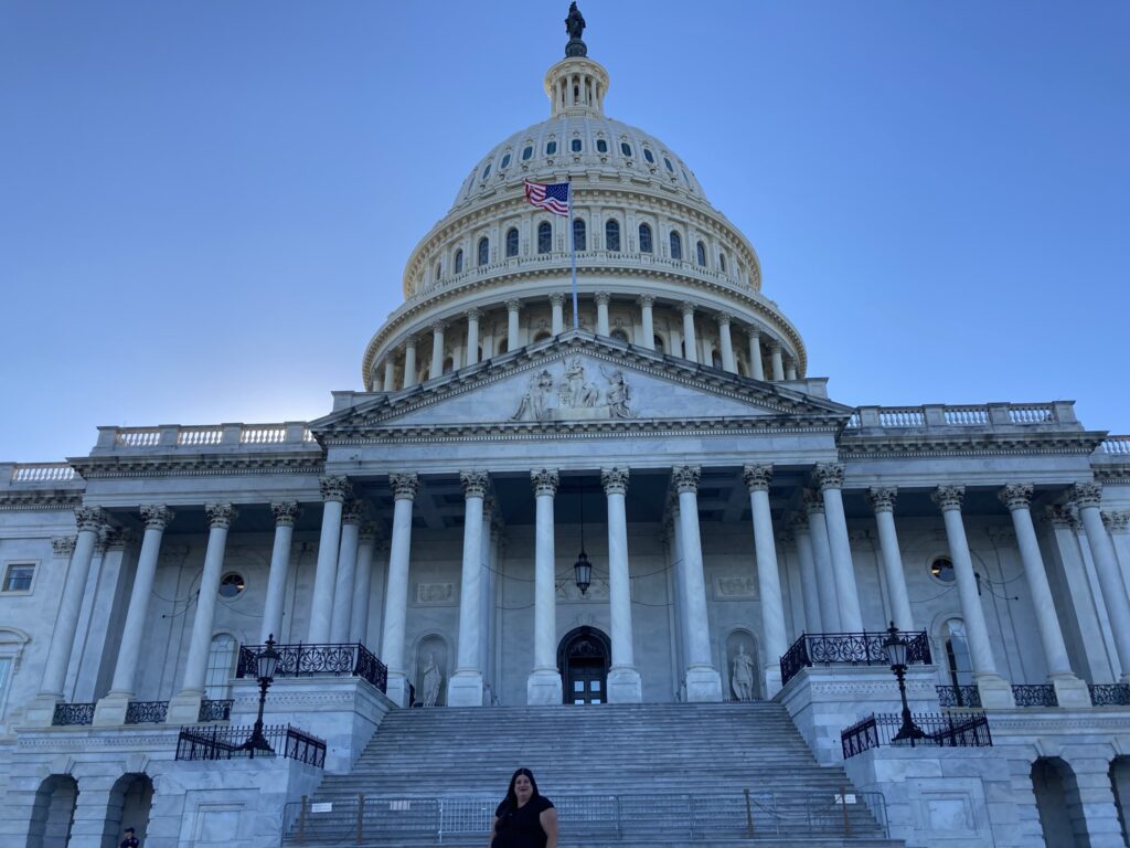 The U.S. Capitol Building