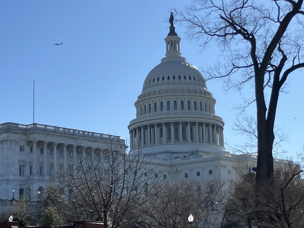 U.S. Capitol Building