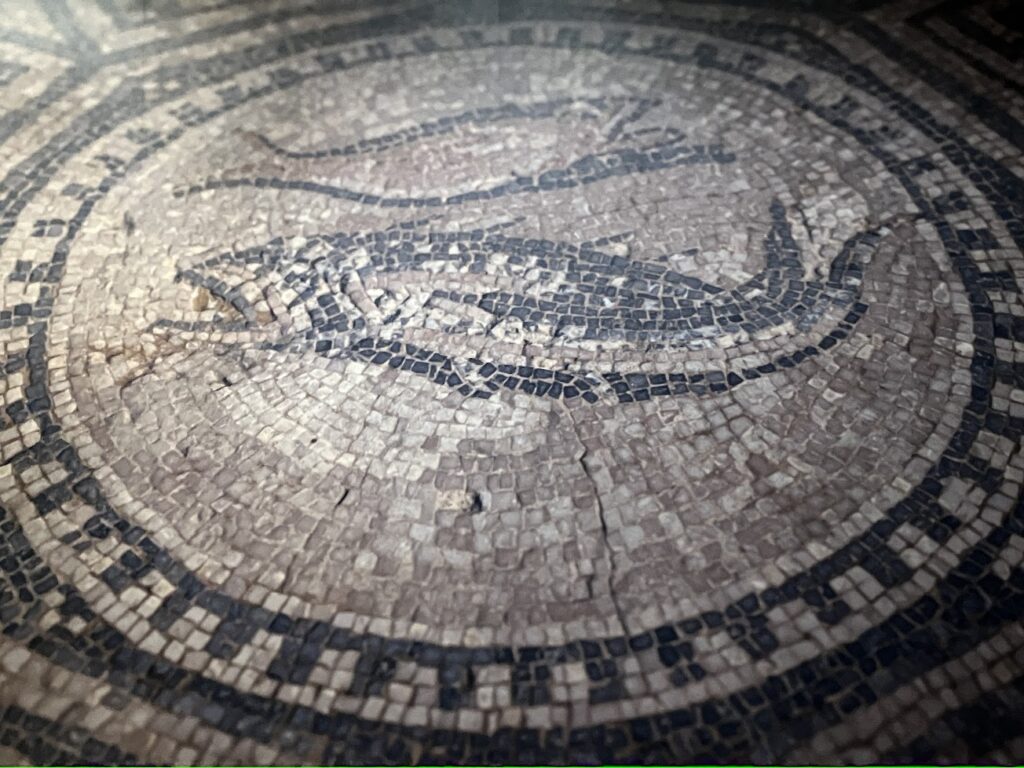 The Megiddo Mosaic 